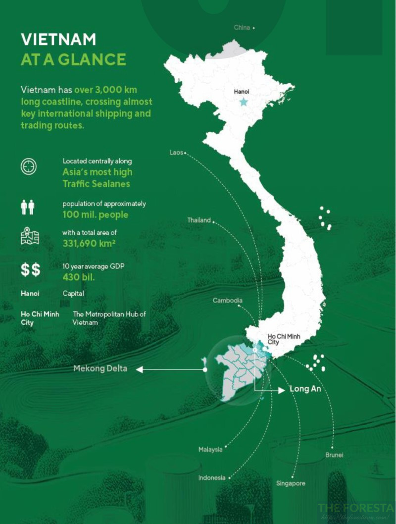 Hình ảnh Tổng Quan Về Việt Nam 2024