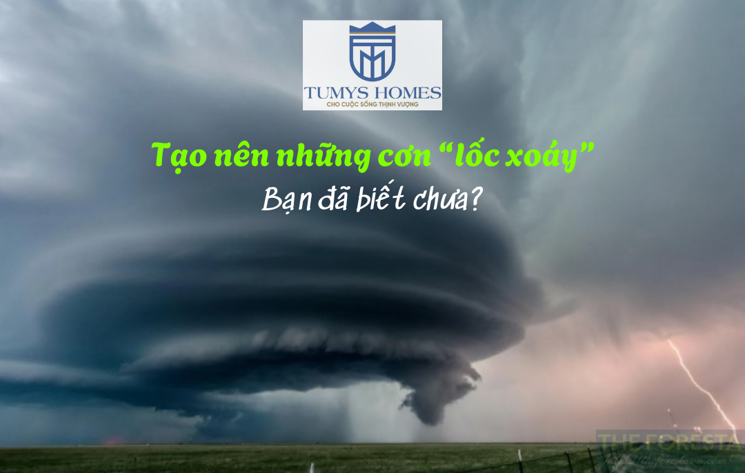 Tumys Homes Làm Chao đảo Như Những Cơn Lốc